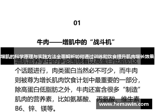 增肌的科学原理与实践方法全面解析如何通过训练和饮食提升肌肉增长效果